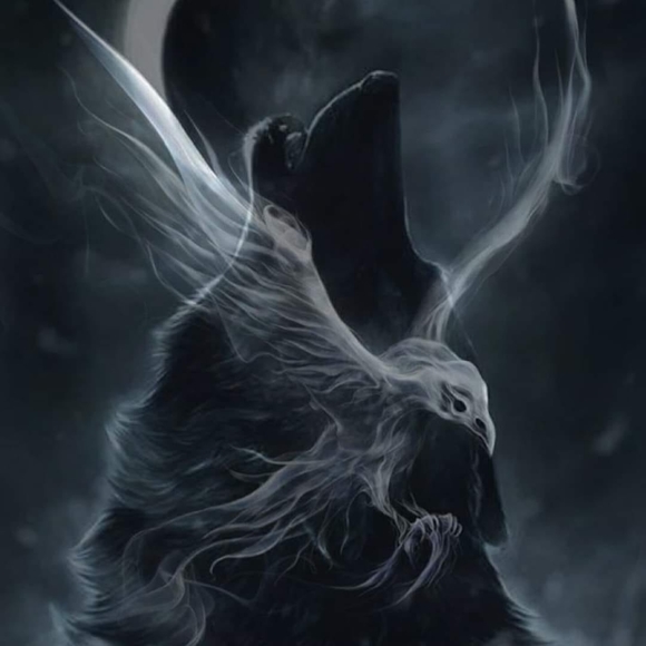 Meet your Posher, Sheila - Picture 1 of 1